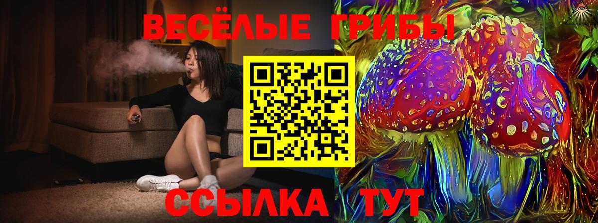 Псилоцибиновые грибы Psilocybe Мурманск