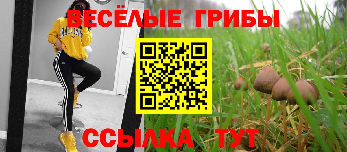 Галлюциногенные грибы Cubensis  Вход с VPN  Мурманск 
